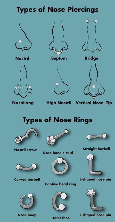 Piercing Nez: Everything You Need to Know 